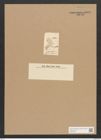 Diatomeae indet. (de-Toni-Nr.: Species 2537) Zeichnungen Sammlung Grunow Nr. 5038 (NHMW-BOT-W0373297)